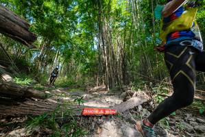 BIB: 
                            <button type="button" onclick="openModal(19389320)" class="btn btn-primary btn-sm float-right btn-popup" data-toggle="modal" data-target=".modal-high-quality">
                        <i class="fas fa-shopping-cart"></i> Add to Cart
                    </button>
                                            <button type="button" onclick="isThisMe(19389320, true)" class="btn btn-success btn-sm float-right btn-popup btn-isme hidden" data-toggle="tooltip" data-placement="bottom" title="นี่คือรูปของคุณใช่ไหม คลิกที่นี่เพื่อเอาเข้าอัลบั้ม">
                        <i class="fas fa-plus"></i> Add to album
                    </button>
                    <button type="button" onclick="isThisMe(19389320, false)" class="btn btn-warning btn-sm float-right btn-popup btn-isnotme hidden">
                        <i class="fas fa-ban"></i> Remove from album
                    </button>